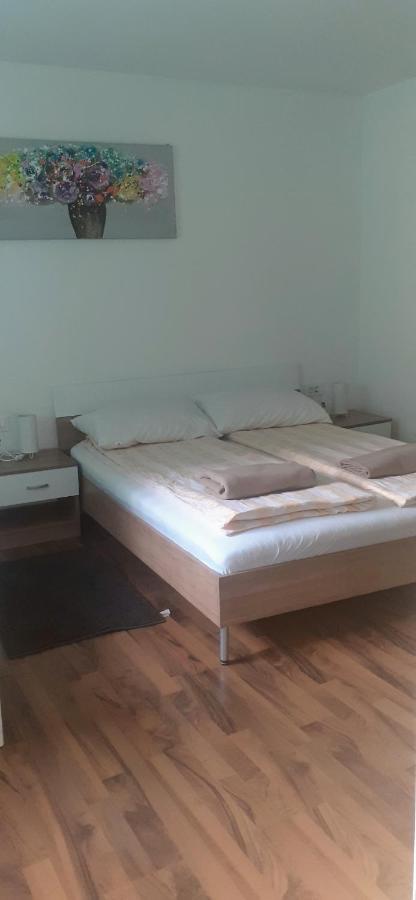 Apartman Sara Vl. Franjo Klasic Крапина Екстериор снимка