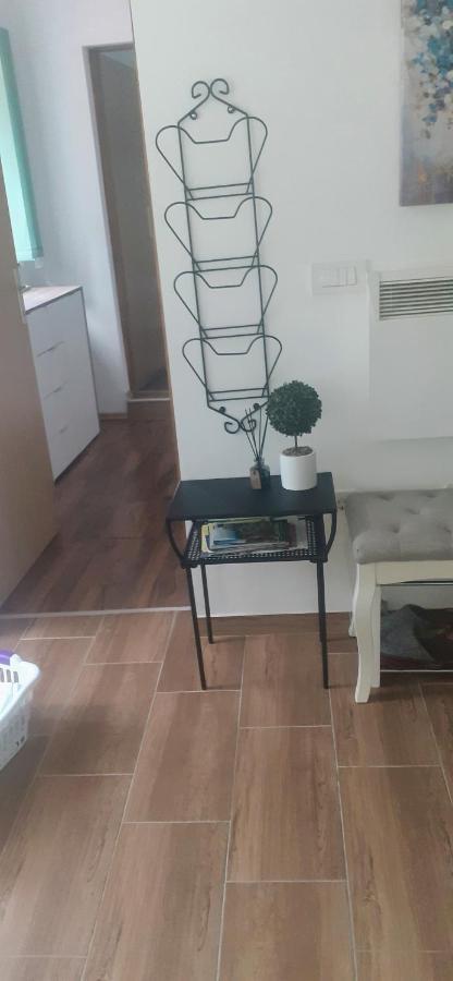 Apartman Sara Vl. Franjo Klasic Крапина Екстериор снимка